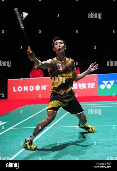 Lin Dan of China defeats Malaysia's Lee Chong in men's final.